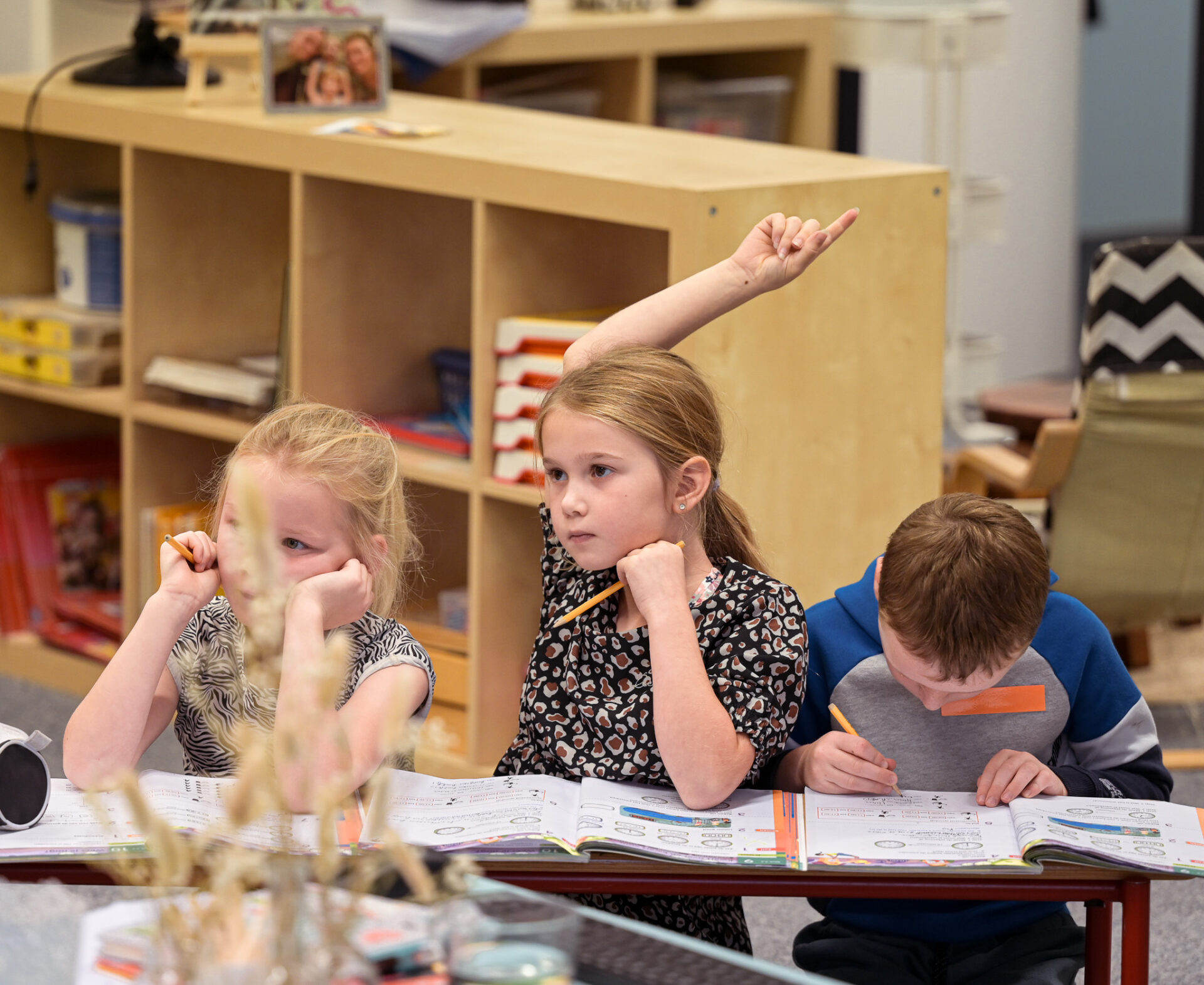 De Pandelaar veelgestelde vragen